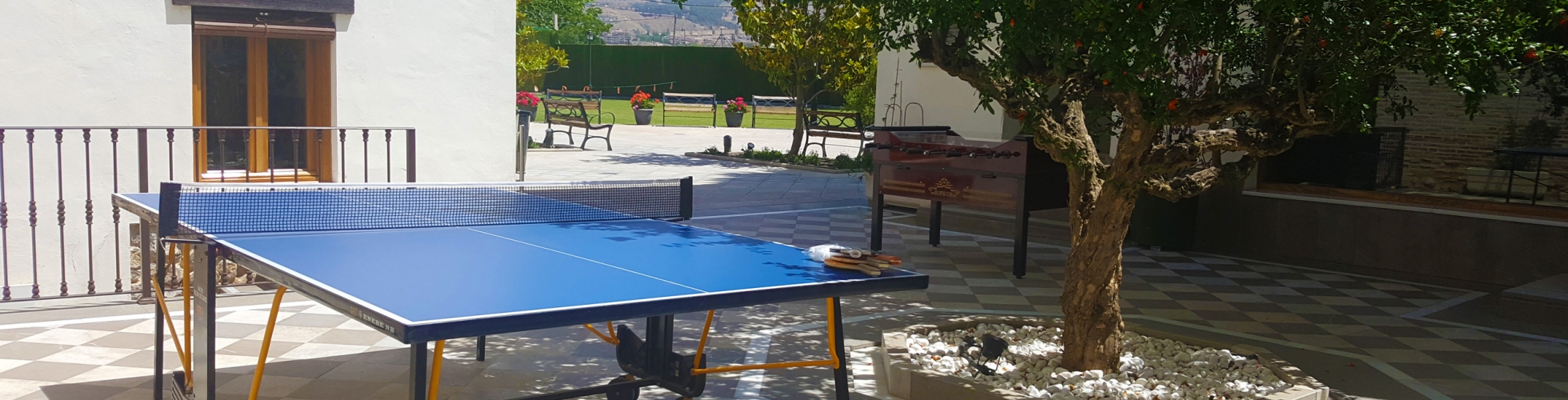 Alquiler de Mesa de Ping Pong Granada